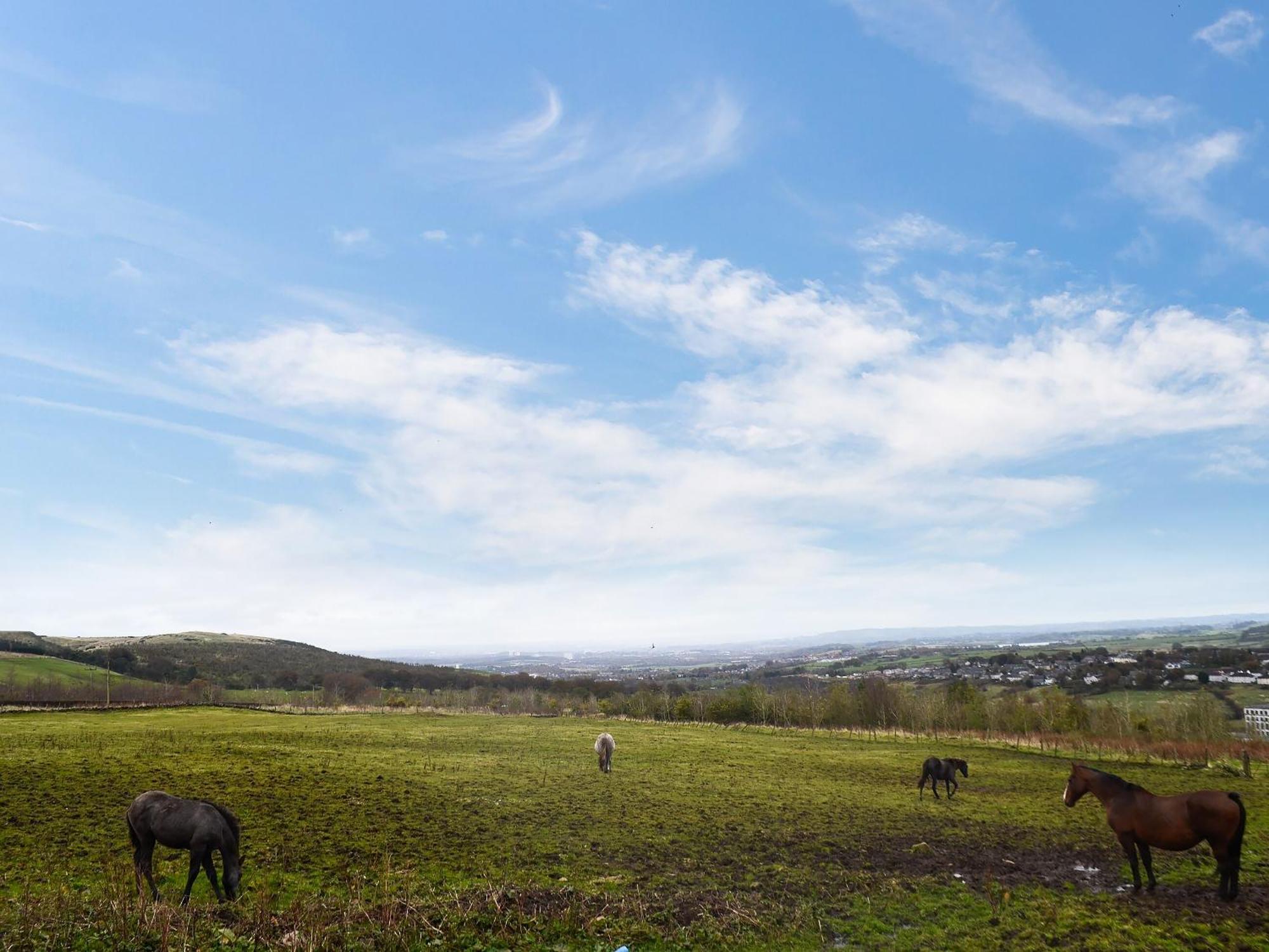 The Calving Shed Villa Neilston Exteriör bild